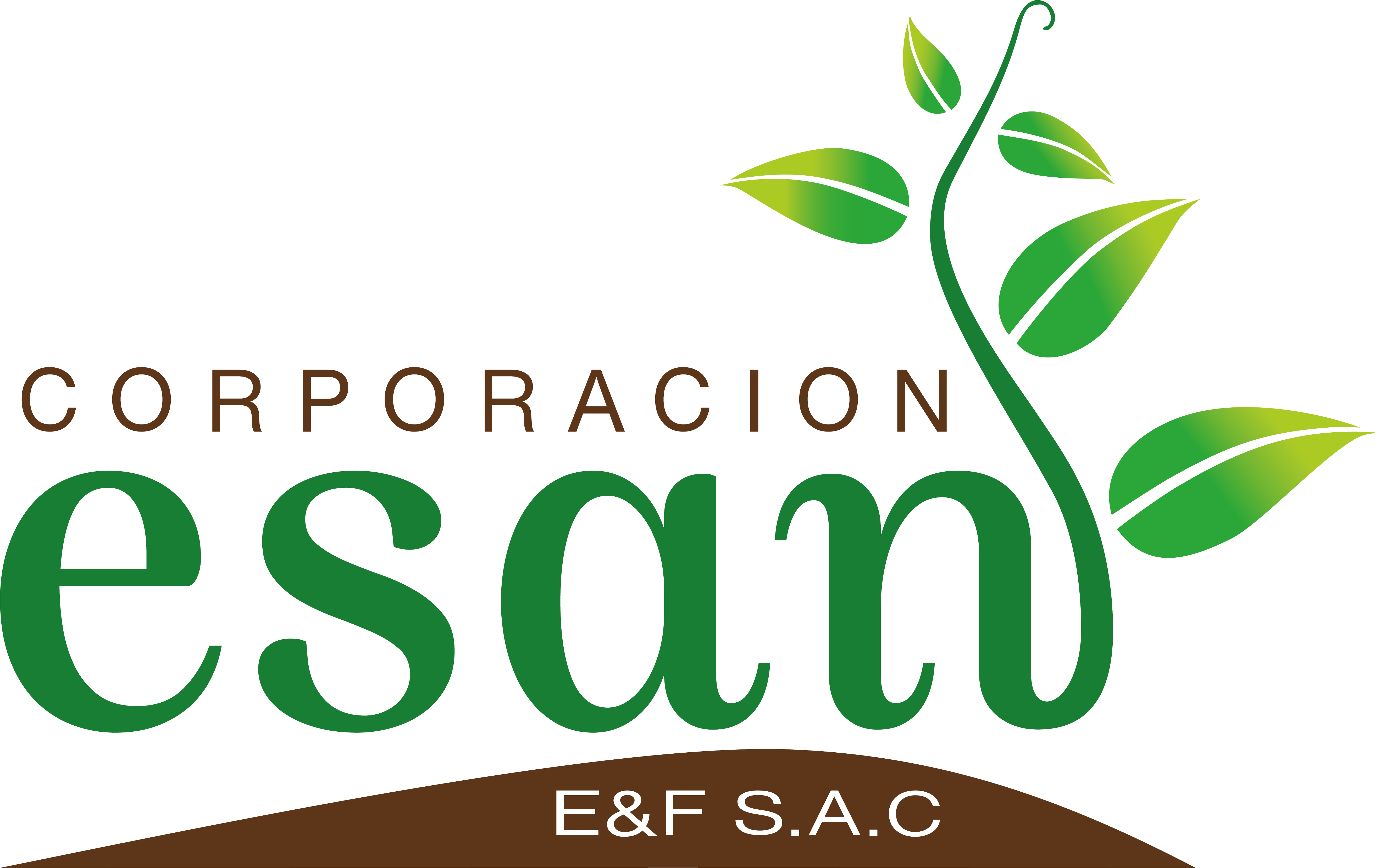 Logo Corporacion Esan E&F SAC